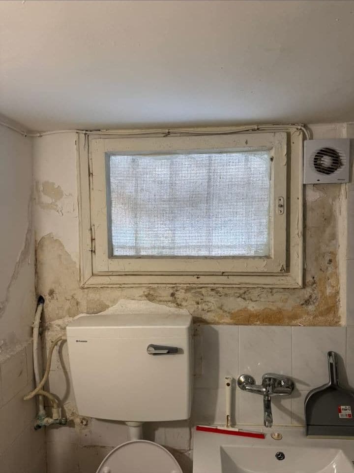 Bathroom wall with peeling, damp-stained plaster around the window